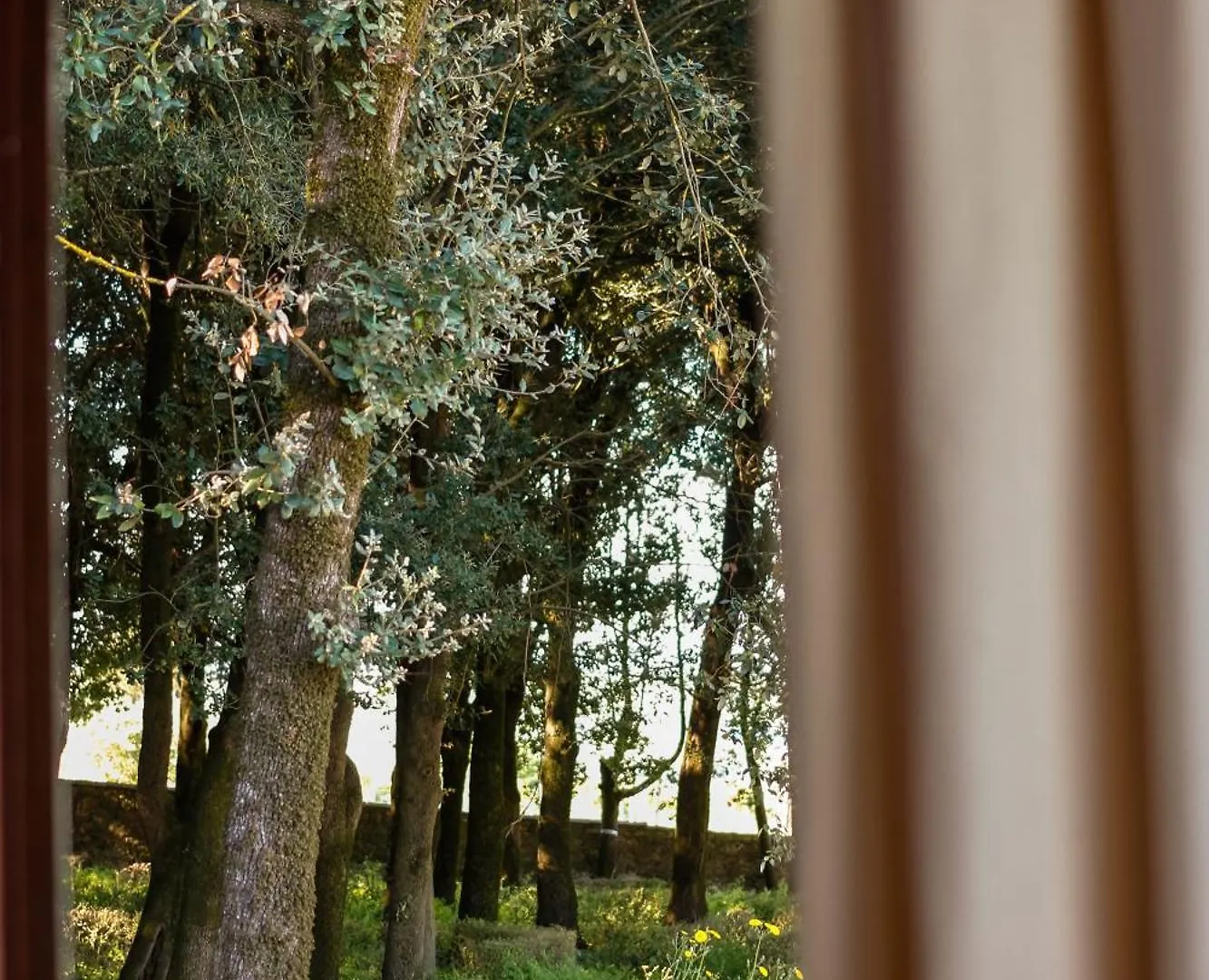 Borgo Belsedere - Apartments At A Historic Estate In Tuscany Trequanda Italy