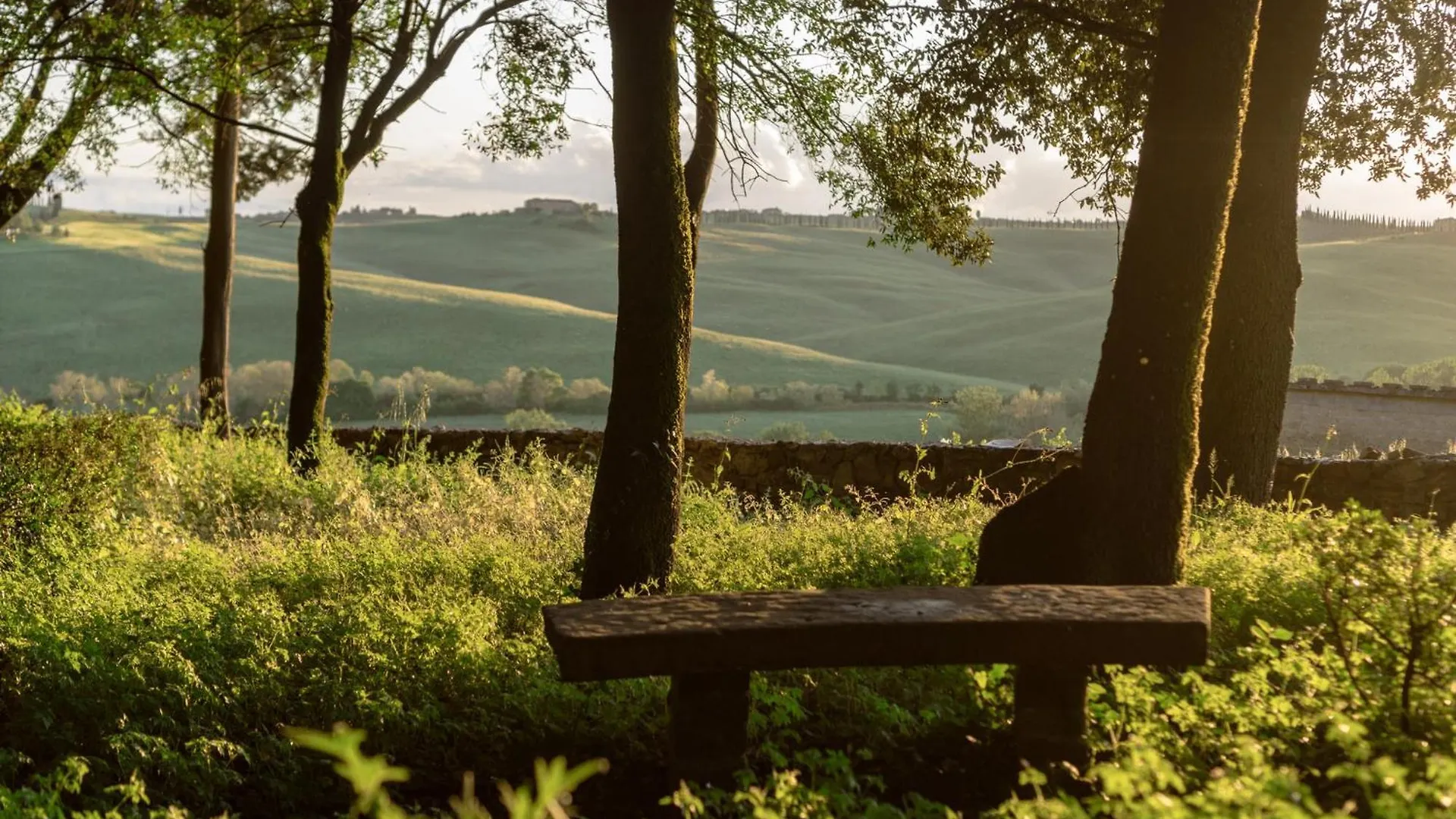 Borgo Belsedere - Apartments At A Historic Estate In Tuscany 트레콴다